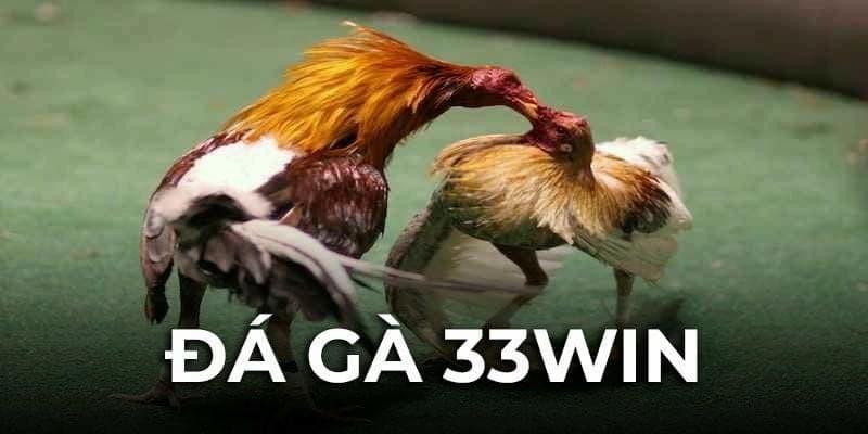 Đá Gà 33win khác biệt với các nền tảng khác