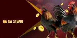 Đá Gà 33win giới thiệu tổng quan