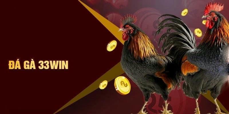 Đá Gà 33win giới thiệu tổng quan